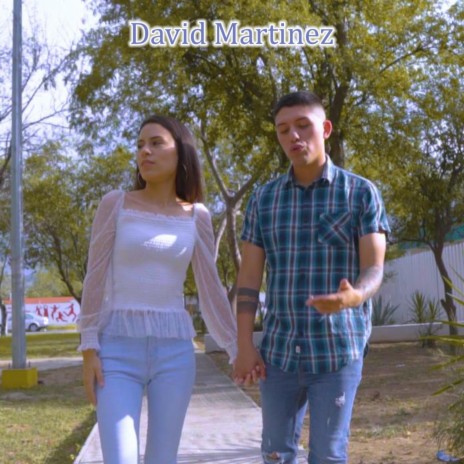 Se Enamoro cover art