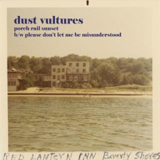 Dust Vultures