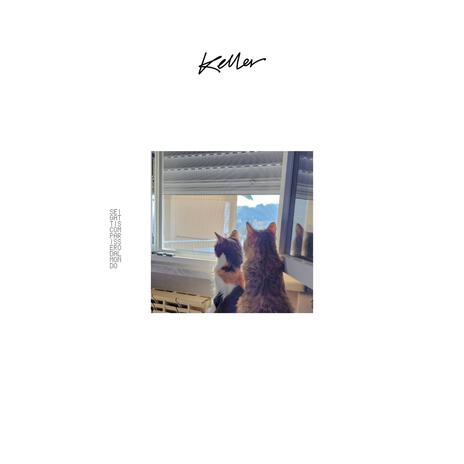 Se I Gatti Scomparissero Dal Mondo cover art