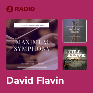 David Flavin Radio