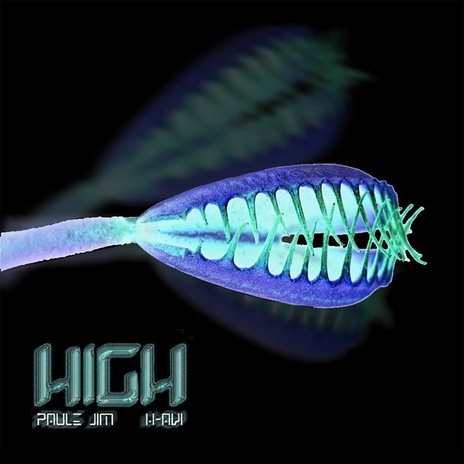 High ft. Paule Jim cover art