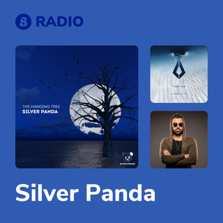 Silver Panda Radio