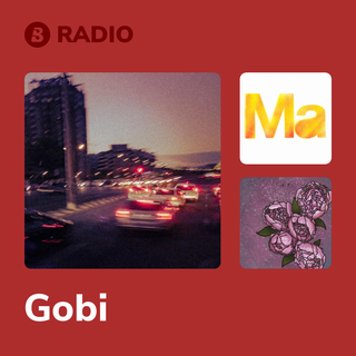 Gobi Radio