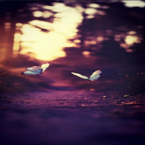 Butterflies cover art