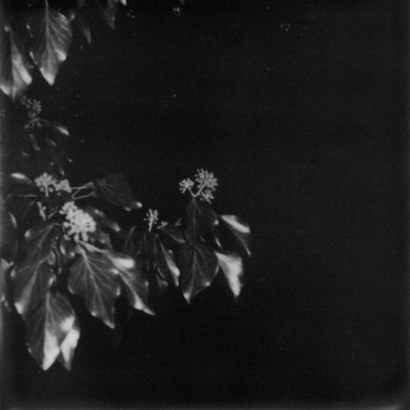 Persephone