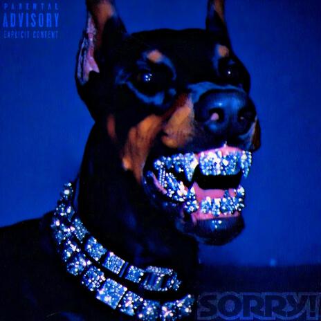 SORRY cover art