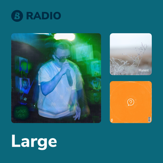 Large Radio