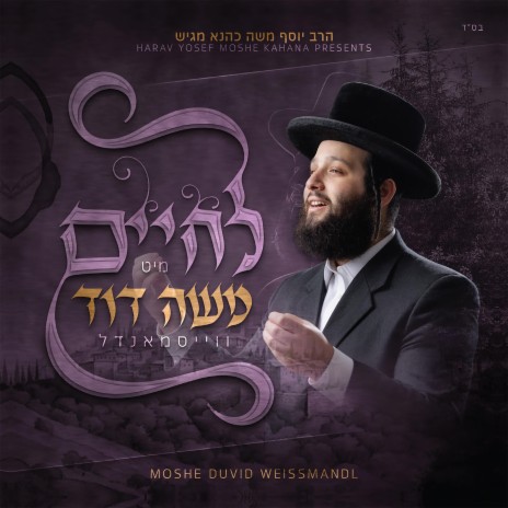 Shtei Dmaos - שתי דמעות cover art