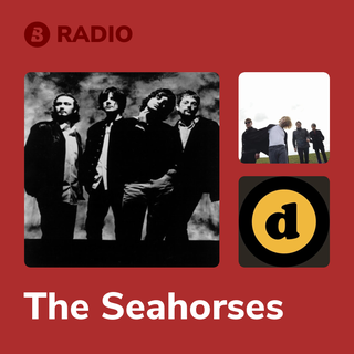 The Seahorses Radio