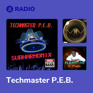 Techmaster P.E.B. Radio
