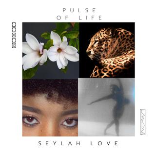 Seylah Love