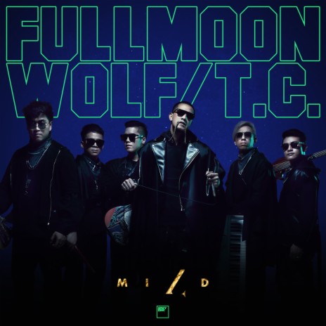 Wolf (Backing Track) cover art