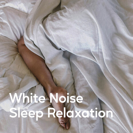 Continuous Relax Flow ft. Universal White Noise Soundscapes cover art