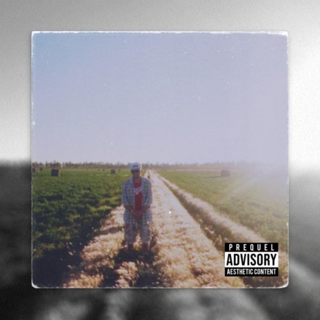 CHANNEL FLOWZ cover art
