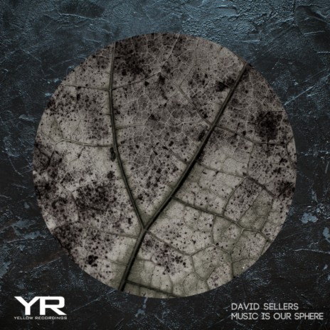 Needs Your Attention (Original Mix) cover art