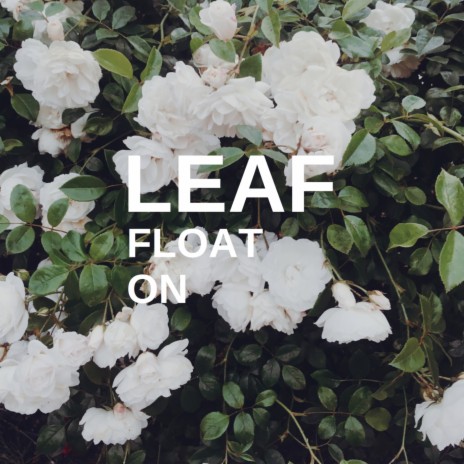 Float On cover art