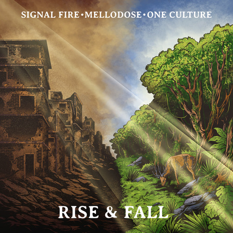 Rise & Fall ft. Mellodose & One Culture cover art