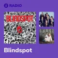 Blindspot Radio