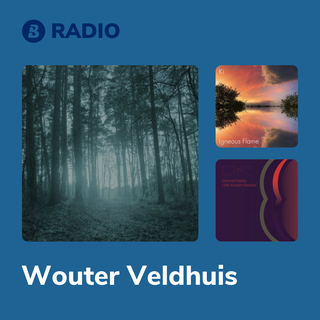 Wouter Veldhuis Radio