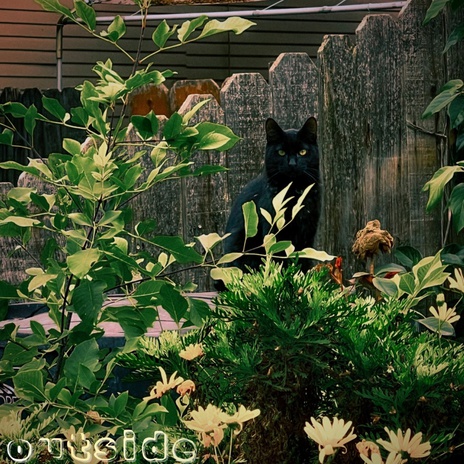 outside