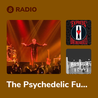 The Psychedelic Furs Radio