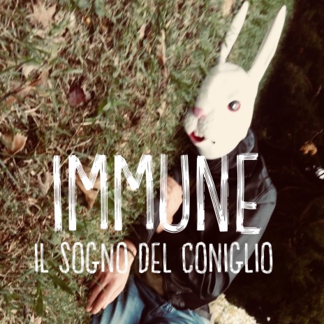 Il Sogno del Coniglio cover art