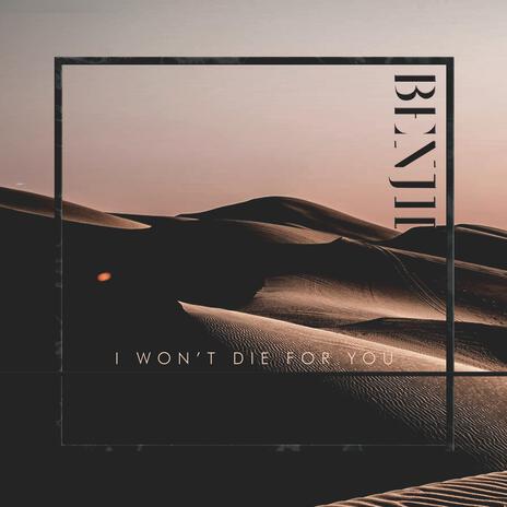 I Won't Die for You cover art