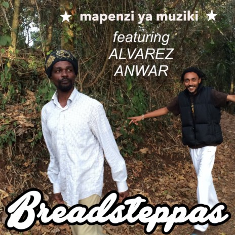 Mapenzi ya Muziki ft. Alvarez Anwar cover art