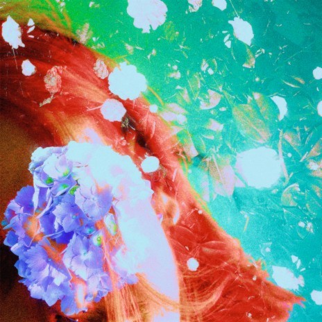 Vice Versa (Softend Remix) cover art