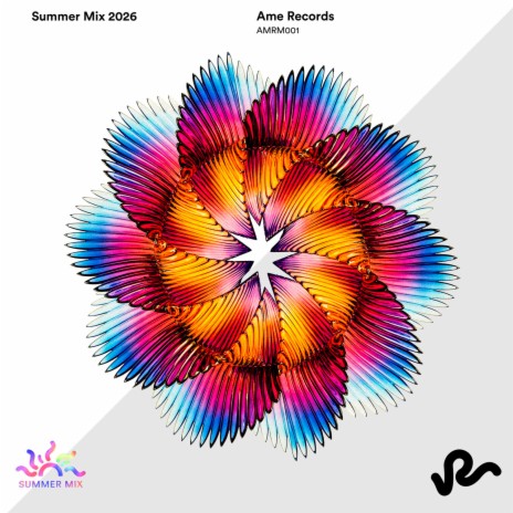 The Whole Vibe cover art