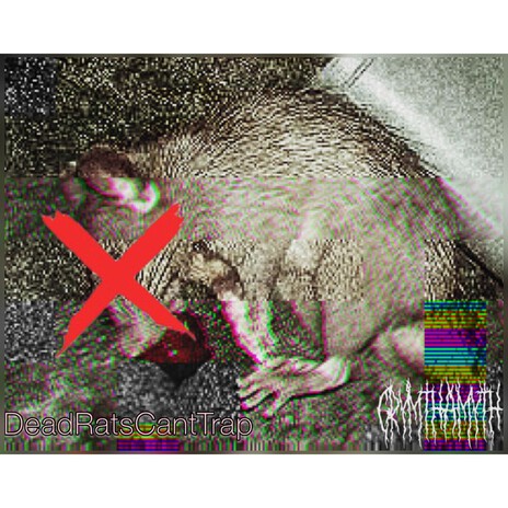 DeadRatsCantTrap cover art
