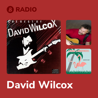 David Wilcox Radio