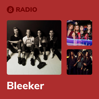 Bleeker Radio