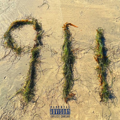 911 cover art