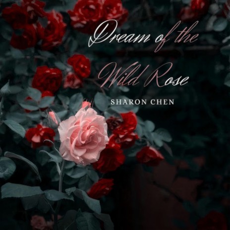Dream of the Wild Rose