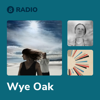 Wye Oak Radio