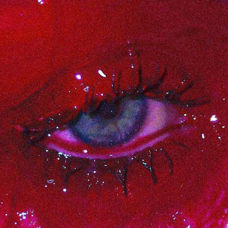 DAKOTA cover art