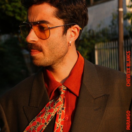 Cheveux blancs cover art
