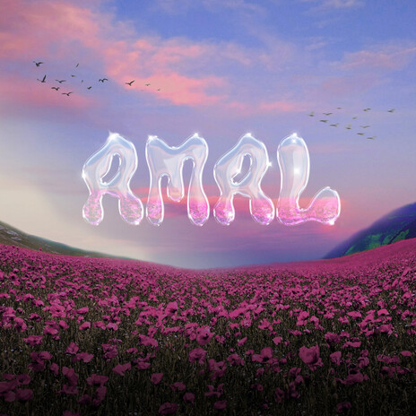 Amal cover art