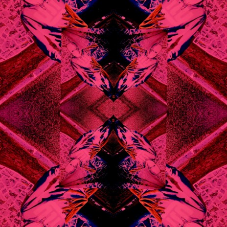Disz