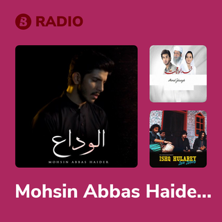 Mohsin Abbas Haider Radio