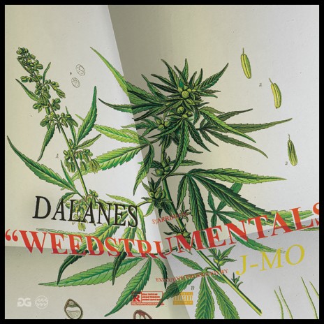 Po Up ft. LJAME$ cover art