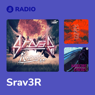 Srav3R Radio