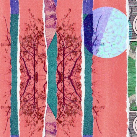 Branching Spiral ft. wowflower & The Field Tapes cover art