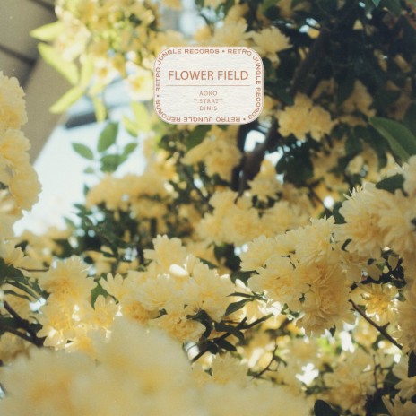Flower Field ft. Dinis & t.Stratt