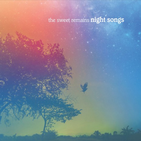 Night Song cover art