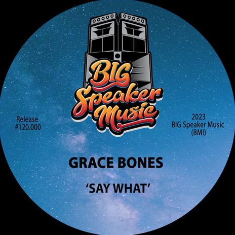 Say What (Edit) cover art