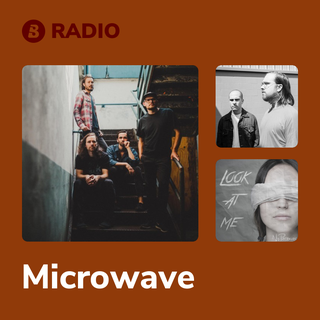 Microwave Radio