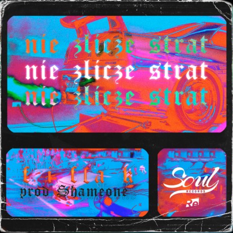 Nie zliczę strat cover art