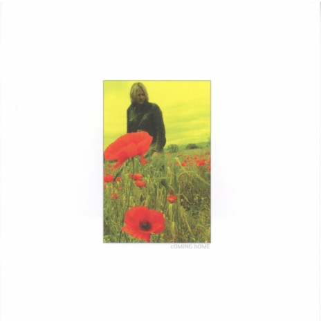 In the Poppy Fields cover art